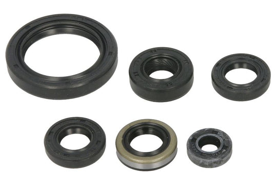 Set garnituri pentru motor WINDEROSA 822379 