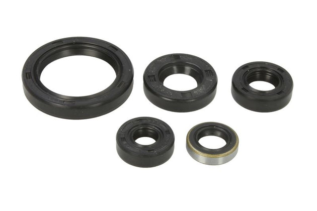 Set garnituri pentru motor WINDEROSA 822380 