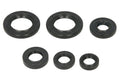Set garnituri pentru motor WINDEROSA 822391 
