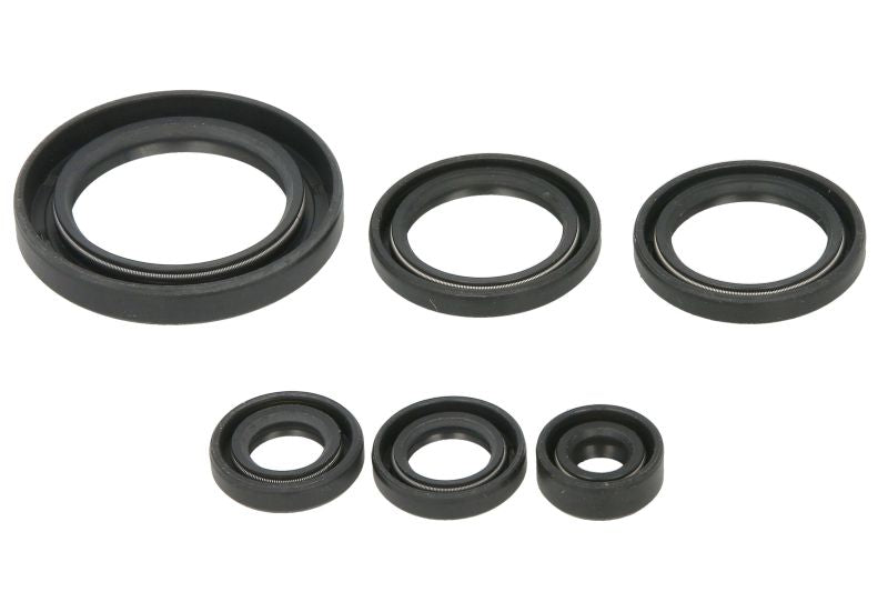 Set garnituri pentru motor WINDEROSA 822978 