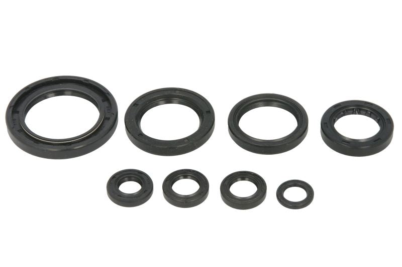 Set garnituri pentru motor WINDEROSA 822996 