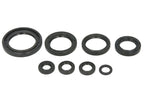 Set garnituri pentru motor WINDEROSA 822996 