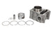 Cilindru motor RMS 10 008 0720 RMS