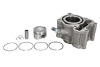 Cilindru motor RMS 10 008 0720 RMS
