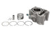 Cilindru motor RMS 10 008 0720 RMS