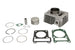 Cilindru motor IP000684 INPARTS