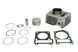 Cilindru motor IP000684 INPARTS