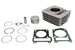 Cilindru motor IP000684 INPARTS
