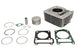 Cilindru motor IP000684 INPARTS