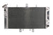 Radiator, racire motor 4 RIDE TRS-R-103 
