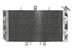 Radiator, racire motor 4 RIDE TRS-R-103 