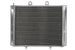 Radiator, racire motor 4 RIDE TRS-R-221 
