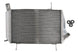 Radiator, racire motor 4 RIDE TRS-R-608 
