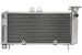 Radiator, racire motor 4 RIDE TRS-R-650 