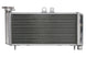 Radiator, racire motor 4 RIDE TRS-R-650 