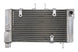 Radiator, racire motor 4 RIDE TRS-R-652 