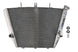 Radiator, racire motor 4 RIDE TRS-R-547 