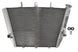 Radiator, racire motor 4 RIDE TRS-R-548 