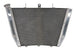 Radiator, racire motor 4 RIDE TRS-R-548 