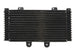 Radiator, racire motor 4 RIDE TRS-R-555 