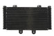 Radiator, racire motor 4 RIDE TRS-R-555 