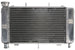 Radiator, racire motor 4 RIDE TRS-R-561 
