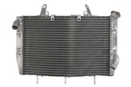 Radiator, racire motor 4 RIDE TRS-R-565 