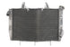 Radiator, racire motor 4 RIDE TRS-R-565 