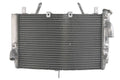Radiator, racire motor 4 RIDE TRS-R-569 