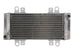 Radiator, racire motor 4 RIDE TRS-R-667 