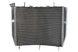 Radiator, racire motor 4 RIDE TRS-R-612 
