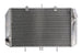 Radiator, racire motor 4 RIDE TRS-R-591 