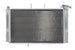Radiator, racire motor 4 RIDE TRS-R-614 