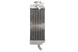 Radiator, racire motor 4 RIDE TRS-R-018L(C) 