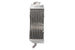 Radiator, racire motor 4 RIDE TRS-R-018L(C) 