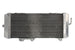 Radiator, racire motor 4 RIDE TRS-R-025L 