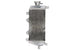 Radiator, racire motor 4 RIDE TRS-R-059R 