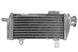 Radiator, racire motor 4 RIDE TRS-R-161 