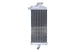 Radiator, racire motor 4 RIDE TRS-R-170R 