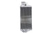 Radiator, racire motor 4 RIDE TRS-R-172L 