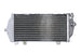 Radiator, racire motor 4 RIDE TRS-R-173L 
