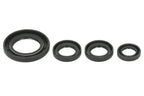 Set garnituri pentru motor WINDEROSA 822395 