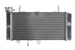 Radiator, racire motor 4 RIDE TRS-R-700 