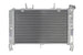 Radiator, racire motor 4 RIDE TRS-R-727 