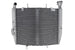 Radiator, racire motor 4 RIDE TRS-R-689 