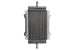 Radiator, racire motor 4 RIDE TRS-R-750 