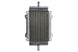 Radiator, racire motor 4 RIDE TRS-R-750 