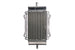 Radiator, racire motor 4 RIDE TRS-R-750 